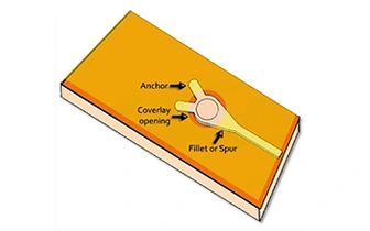 Flex PCBs with multi-layers